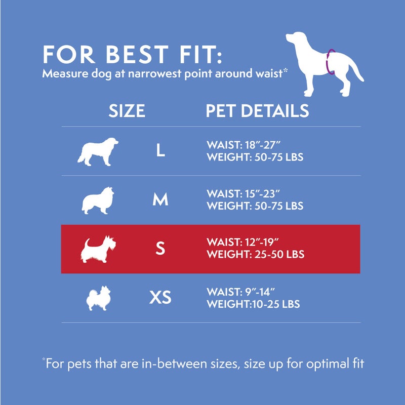 Simple Solution Disposable Dog Diapers Wraps for Male Dogs, True Fit, Absorbent, Leak Proof with Wetness Indicator, Puppy and Doggie Diaper for Peeing, For Small Pets, 12 â€“ 19 Inch Waist, 12 Count - Image 4